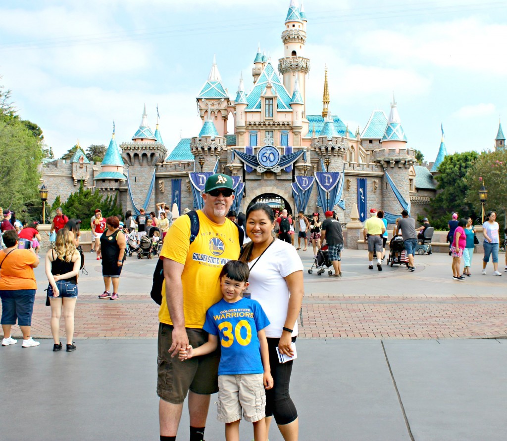 disneyland 60 castle